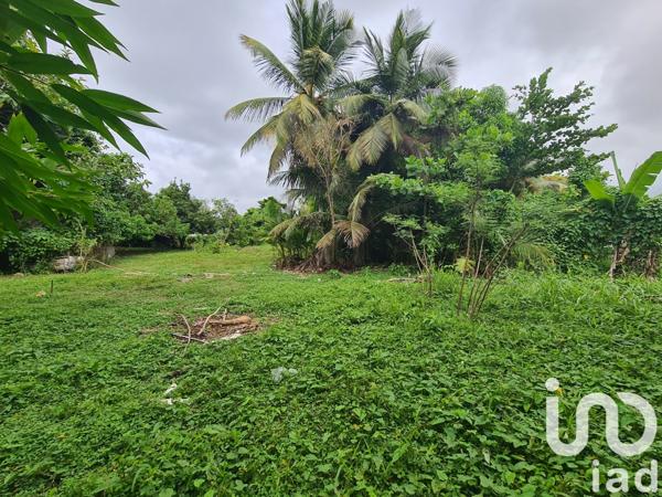 Terrain à vendre 1 196 m² Le Moule