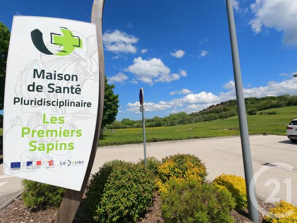 Terrain à vendre  1392 m2 LES PREMIERS SAPINS - 25