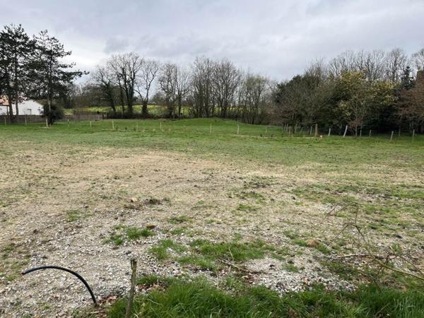 Terrain à vendre |                                       Bellevigny |                                          440 m²