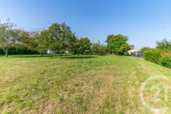 Terrain à vendre  2450 m2 QUELAINES ST GAULT - 53