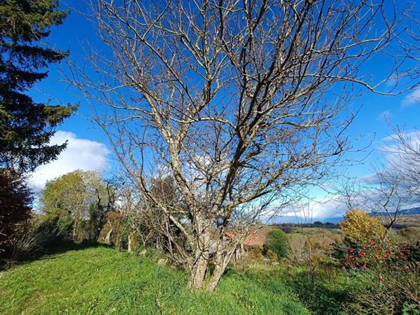 Terrain à vendre à Savigny (74520)