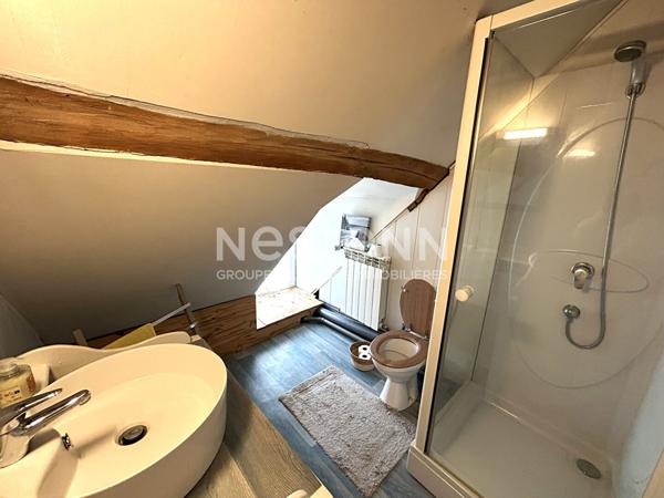 LONGÈRE SANS TRAVAUX 3 CHAMBRES TERRAIN DÉPENDANCES PLEIN CENTRE DE CHABRIS (INDRE 36)