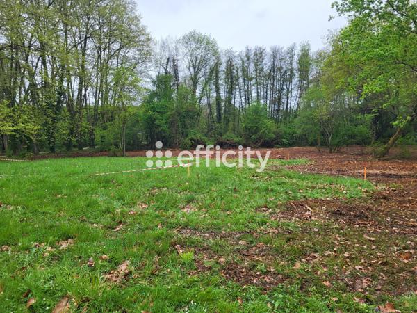 Terrain - 700 m²