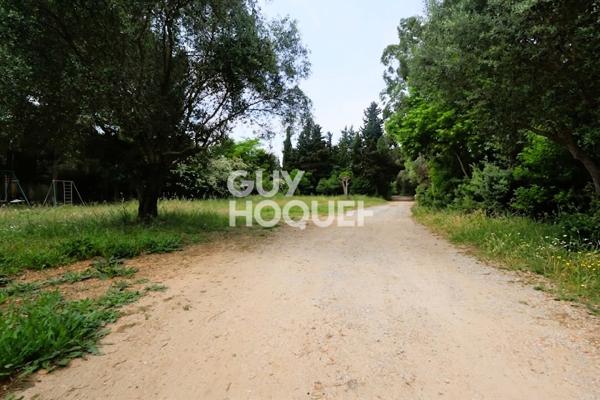 Exclusivité - MAUGUIO - Aux portes de Montpellier PROPRIETE rurale 5300m2 de terrain 2 logements 180m2 + appartement 60m2