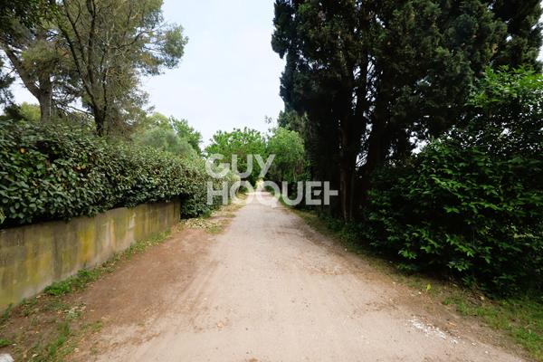 Exclusivité - MAUGUIO - Aux portes de Montpellier PROPRIETE rurale 5300m2 de terrain 2 logements 180m2 + appartement 60m2