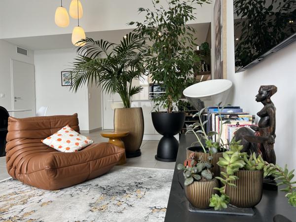 NOUVEAUTÉ - Villa contemporaine - Piscine