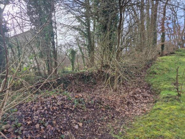 SAINT-PIERRE-LES-NEMOURS