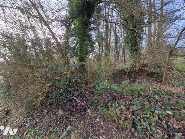 SAINT-PIERRE-LES-NEMOURS