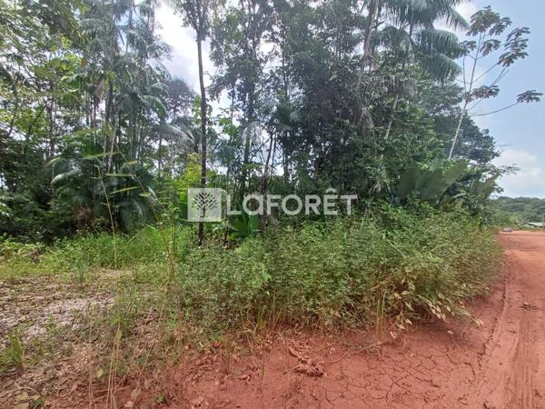 Achat terrain Roura - 25000 m² - 137 500 €