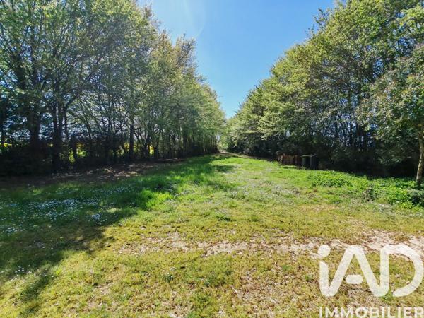 Maison à vendre 4 pièces 133 m² Montjean