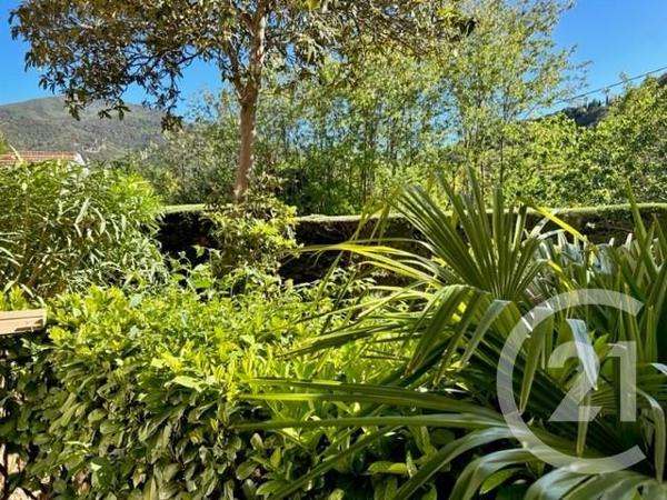 Appartement Studio à vendre  1 pièce - 34,60 m2 AMELIE LES BAINS PALALDA - 66