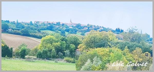 À vendre 425000€ : superbe maison de caractère 250m2 avec piscine et vue panoramique – Puylaurens