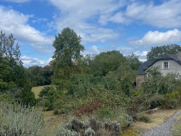 Maison - Oloron-sainte-marie - Réf.:205322 PROXIMITE OLORON - BEL ENSEMBLE COMPOSE D'UNE MAISON D'HABITATION + GRANGE RENOVEE + GRANGE ATTENANTE AVEC TERRAIN - (BAISSE DE PRIX)