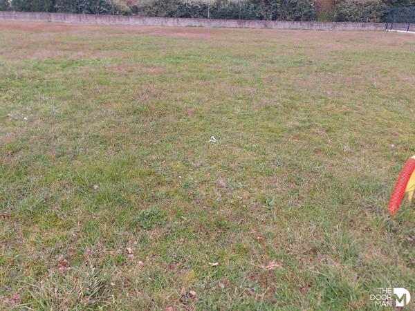 Terrain - Vendu - 538 m² - CHAUMES EN RETZ | The Door Man