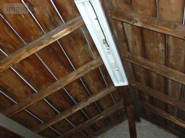 Achat - Immeuble | Local d'activité Rambervillers 88700 12 pièces 380 m 2 1158 m 2