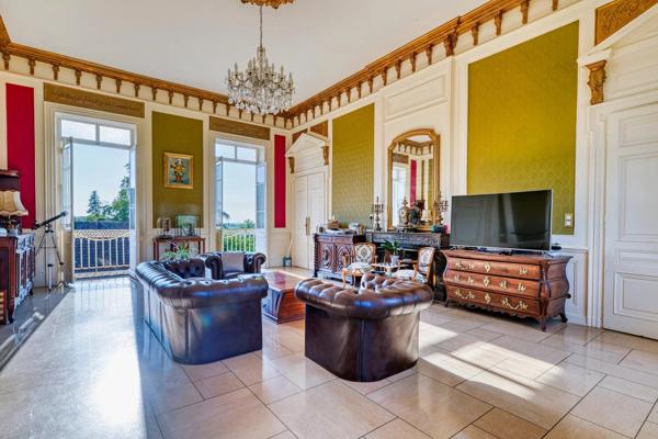 Magnifique château