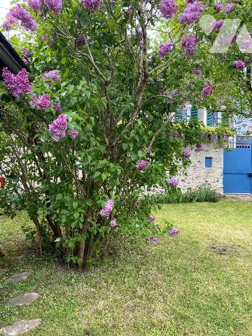 Agréable maison village100m2 + 40m2 cbles à finir d'aménager, jardin  clos murs,