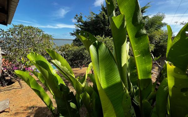 Maison à vendre    6 pièces •  Remire-Montjoly