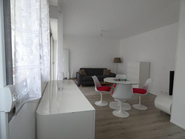 APPARTEMENT MEUBLE T1 BIS A VENDRE ROMORANTIN