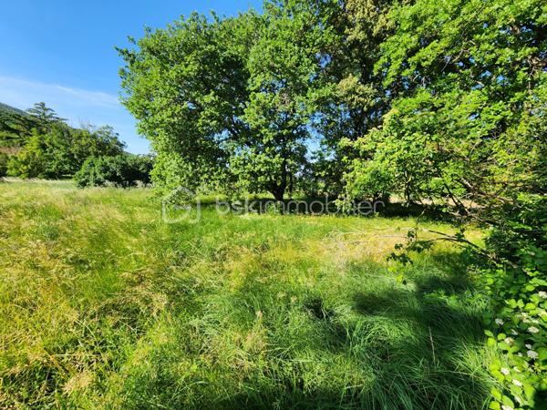 Lotissement de 979 m²