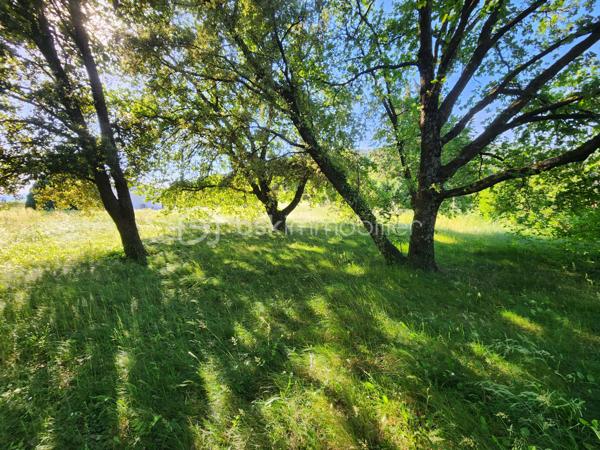 Lotissement de 979 m²