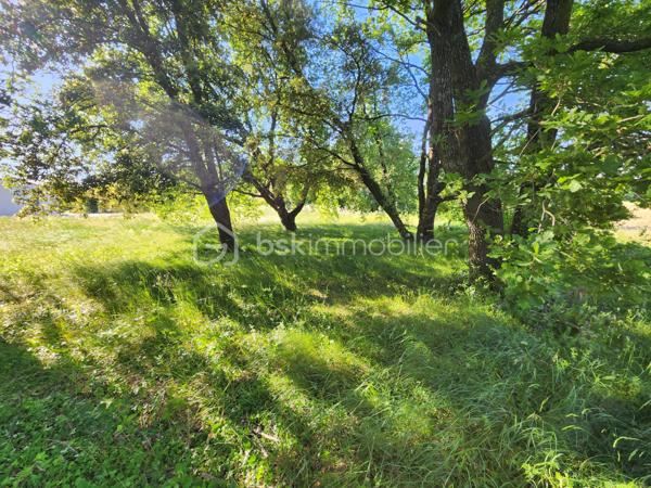 Lotissement de 979 m²