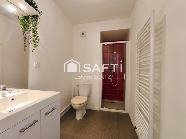 Appartement une pièce 24 m²