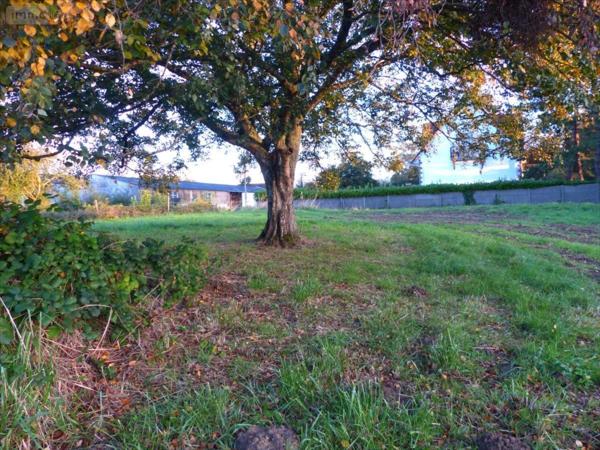 Maison à restaurer à vendre à La Haye dans la Manche (50250), ref : 50061-1063182