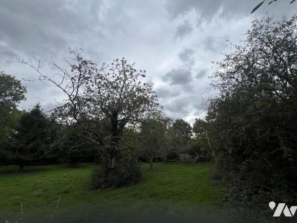 Maison 3ch, terrain à LOUGE SUR MAIRE (15 min d'ARGENTAN)