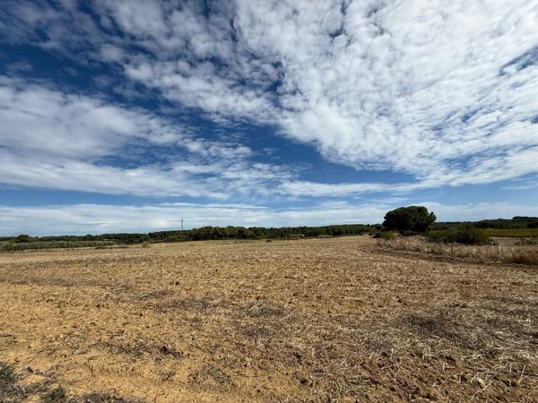 Terrains agricoles de 21520m² entre MEZE et MONTAGNAC