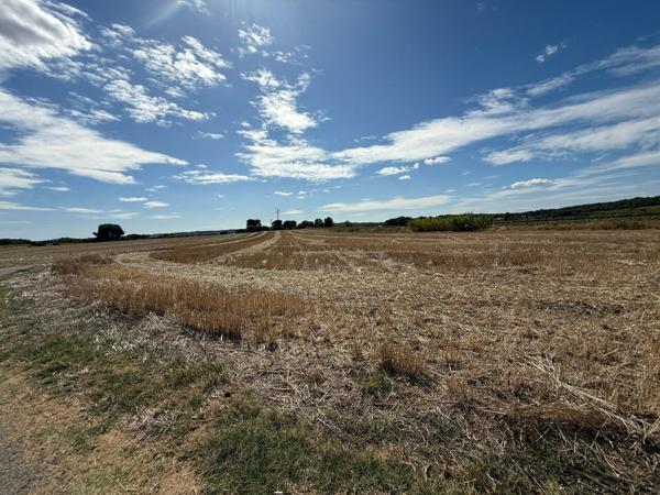Terrains agricoles de 21520m² entre MEZE et MONTAGNAC