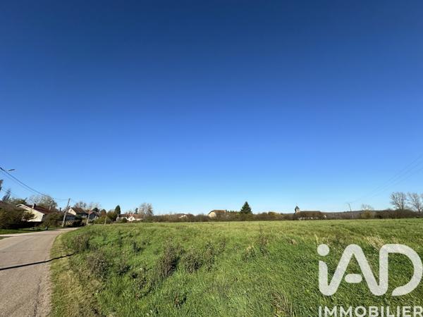 Terrain à vendre 12 280 m² Belrupt