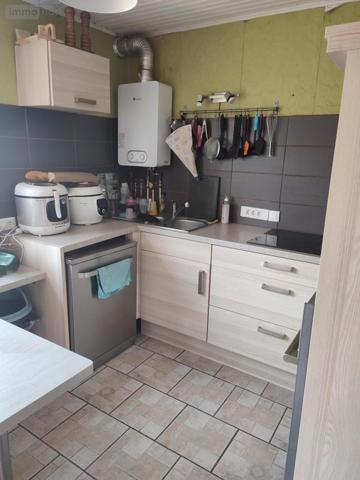 Maison à vendre à Fontaine-au-Pire dans le Nord (59157), ref : 59191-5580