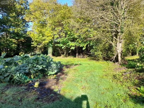 Terrain à Batir à vendre à Les Brulais en Ille-et-Vilaine (35330), ref : 009/1176
