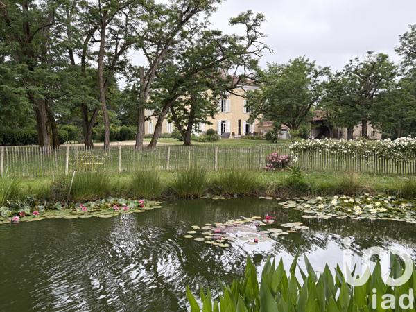 Maison à vendre 23 pièces 729 m² Losse