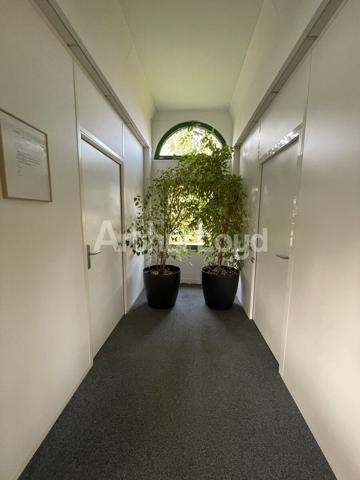 Bureaux à louer à Mouvaux - Espaces lumineux, fonctionnels et prêts à l'emploi