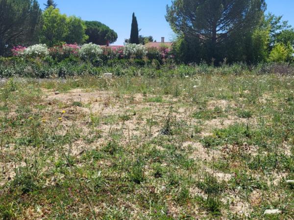 Vente / Terrain constructible