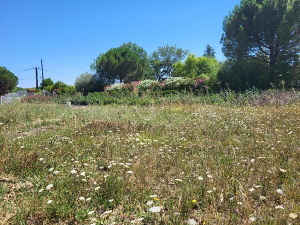 Vente / Terrain constructible
