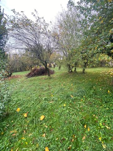 Belle parcelle constructible