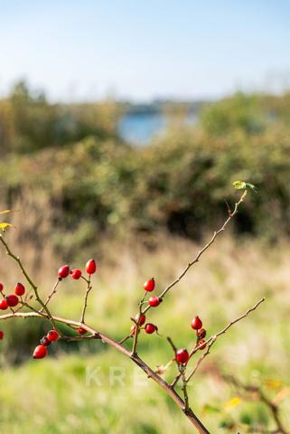 Propriété à rénovée en bordure de l'Odet