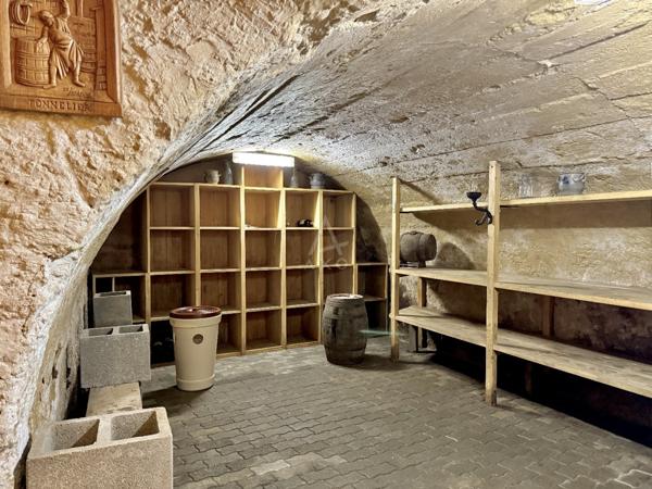 Maison de caractère - 285m² sur 16,82 ares - Woippy Village