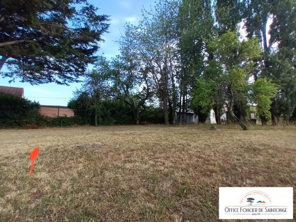 TERRAIN CONSTRUCTIBLE  533 M²