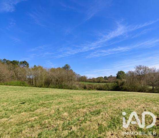 Terrain à vendre 3 239 m² Buanes