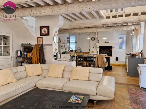 Maison avec cour et terrasse vue Ventoux