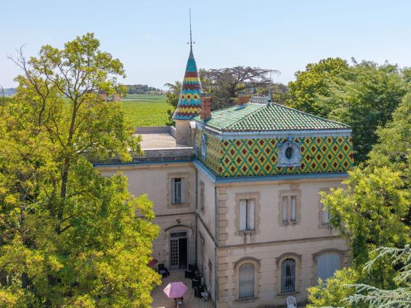Vente Château Béziers 28 Pièces 781 m²