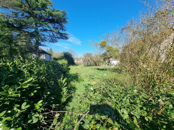 Maison individuelle à vendre à Villefranche-sur-Cher dans le Loir-et-Cher (41200), ref : 41036/3150