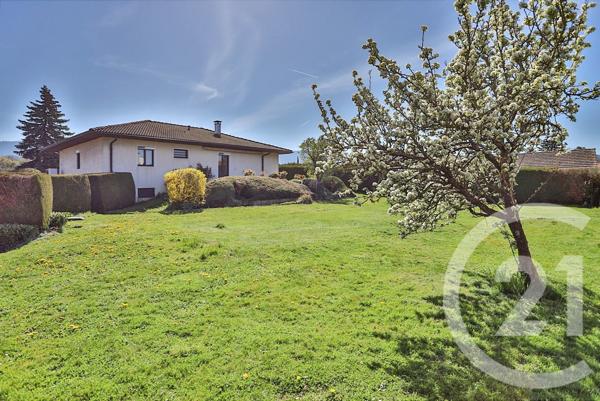 Maison à vendre  5 pièces - 114,99 m2 FEIGERES - 74