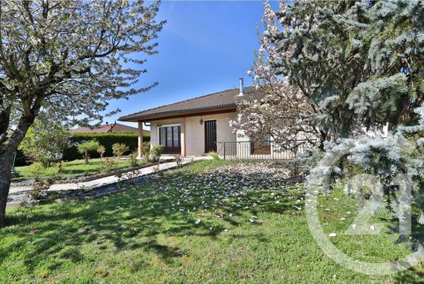 Maison à vendre  5 pièces - 114,99 m2 FEIGERES - 74