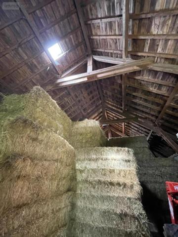 Maison à vendre à Chauchailles en Lozère (48310), ref : 48032-119