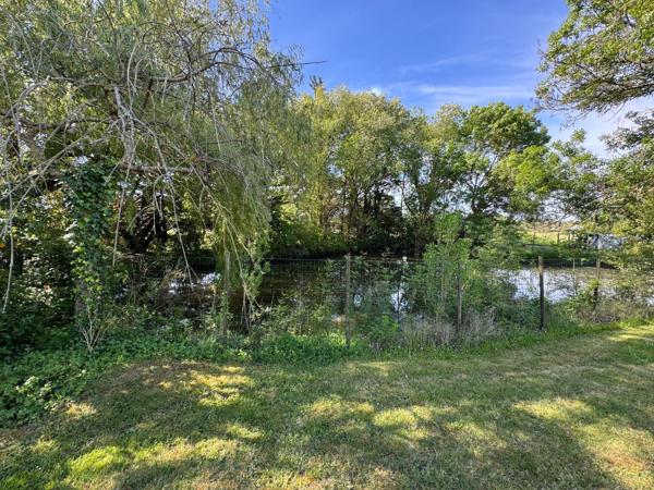 Espace, volume généreux, jardin arboré